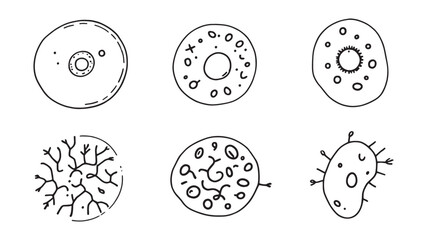 Biology Cell Diagram line art illustration showing detailed cellular structure