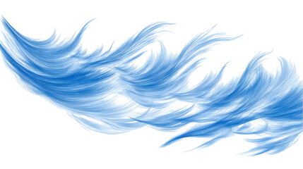 Blue Feathers Watercolor Illustration Texture Background  isolated on transparent background