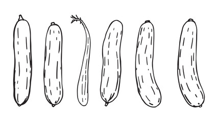 line art and black color line art concept