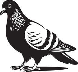 Fototapeta premium Pigeon Bird Black Silhouette Vector, Urban Wildlife Clipart & Flying Bird Design
