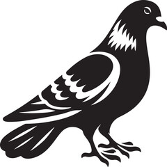 Obraz premium Pigeon Bird Black Silhouette Vector, Urban Wildlife Clipart & Flying Bird Design