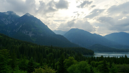 Obraz premium Collage of beautiful landscape with mountains forest and river in summer