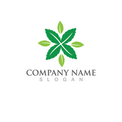 Obraz premium Mint leaves flat vector icon