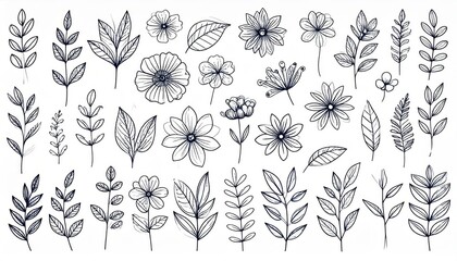 Botanical doodle background art vector set