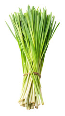 Fototapeta premium Fresh Green Lemongrass Leaves with Long Thin Blades isolated on transparent white background, clipping path