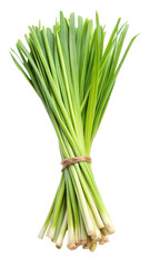 Fototapeta premium Fresh Green Lemongrass Leaves with Long Thin Blades isolated on transparent white background, clipping path