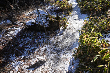 Climbing Mt Kurofu, Asama, Gunma, Nagano, Japan