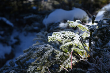 Climbing Mt Kurofu, Asama, Gunma, Nagano, Japan