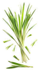 Obraz premium Flying Fresh Green Lemongrass Leaves in Motion isolated on transparent white background, clipping path