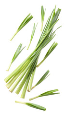Obraz premium Flying Fresh Green Lemongrass Leaves in Motion isolated on transparent white background, clipping path