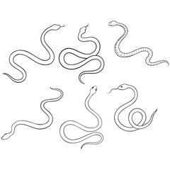 Obraz premium Six simple line drawings of snakes reptile wildlife