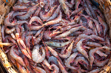 Various fresh fish, Seafood on ice at the fish market