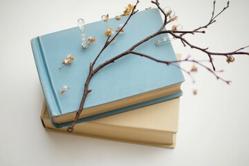 Stacked books adorned with a delicate branch and beads.