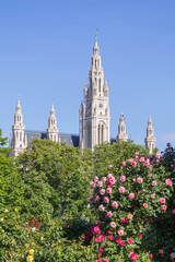 Vienna City Hall Tower Rising Above Blooming Roses in Volksgarten Park, Austria