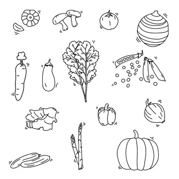 Vegetable Hand Drawn Outline