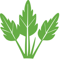 Fresh green parsley sprig illustration clipart