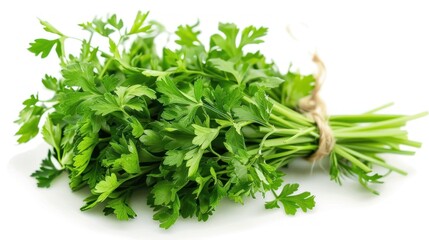 Obraz premium Fresh parsley bunch, tied, white background, cooking