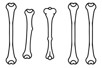 Femur Strength And Function Line art