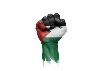 Palestinian Flag Fist Power Symbol on Transparent background