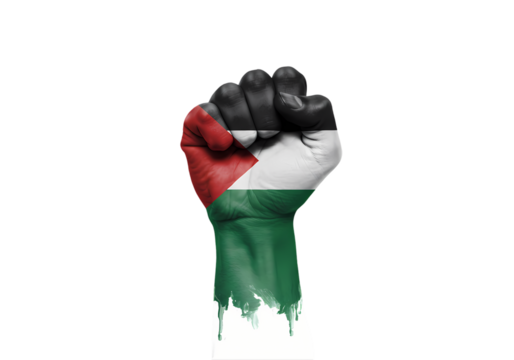Palestinian Flag Fist Power Symbol on Transparent background