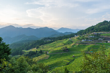 山間部に広がる緑の棚田風景