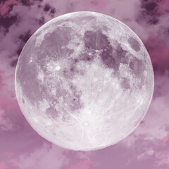 full moon in the night