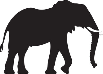 Fototapeta premium elephant isolated on white