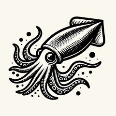 squid vector illustration