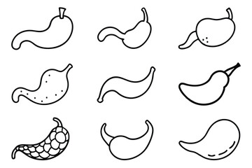 Gallbladder Health Awareness Line art