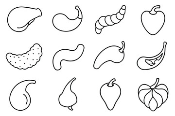 Gallbladder Surgery Procedure Line art
