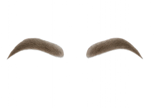 Eyebrows with a sleek, arched shape, in a pair, against a white background, isolated on transparent background.
