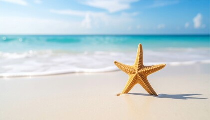 夏　海　砂浜　ヒトデ　トラベル　旅行　南国　トロピカル　イメージ　フレーム　背景　壁紙　素材