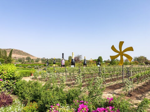Sula Vineyards was started in 1996 by Rajeev Samant after recognizing the potential of the Nashik, India region for cultivating grapes and wine producing.