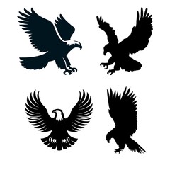 black and white hawk silhouette image