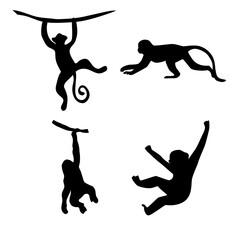 black and white monkey silhouette image
