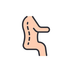Stylized Illustration Of Spine And Body For Medical Representation