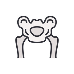 Simple Graphical Representation Of A Pelvic Bone With Transparent Backdrop