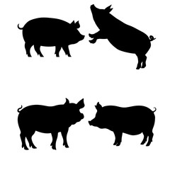 black and white pig silhouette image