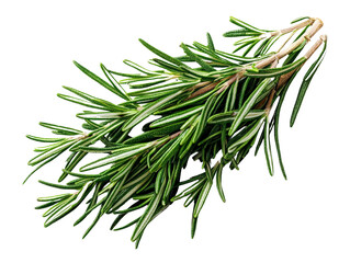Naklejka premium A bunch of rosemary sprigs with fine green needles, isolated on transparent background, PNG file.