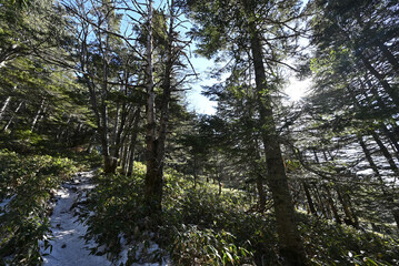Climbing Mt Kurofu, Asama, Gunma, Nagano, Japan