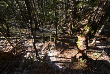 Climbing Mt Kurofu, Asama, Gunma, Nagano, Japan