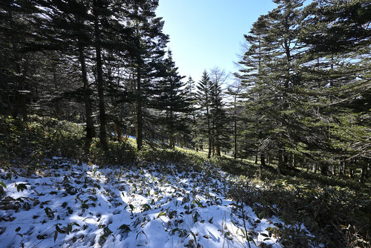 Climbing Mt Kurofu, Asama, Gunma, Nagano, Japan