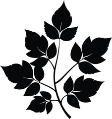 black and green leaves