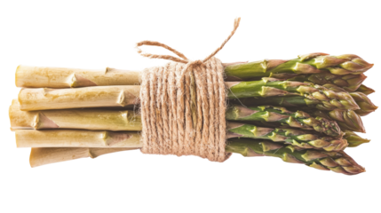 Harvesting fresh asparagus farm gardens food photography rustic setting close-up fresh produce delight