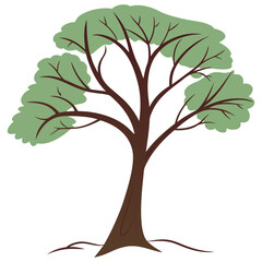 Obraz premium Spreading tree with vibrant green canopy