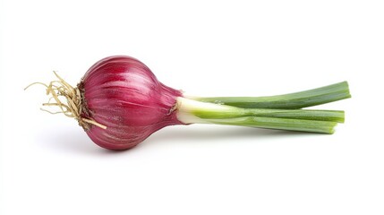 Fresh red onion with vibrant green stalks isolated on pure white backdrop