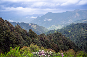 Mountain landscape with flowers. Himalayan Mountain landscapes are a favourite for hikers and nature enthusiasts alike, such as the Shoja Jalori Pass Raghupur Fort, Himachal Pradesh, India.
