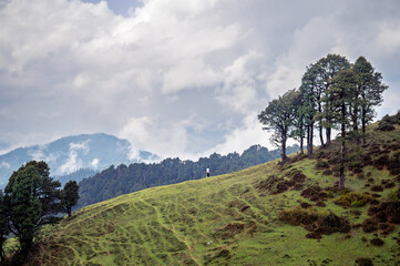 Mountain landscape with trees and clouds.Himalayan Mountain landscapes are a favourite for hikers and nature enthusiasts alike, such as the Shoja Jalori Pass Raghupur Fort, Himachal Pradesh, India. 