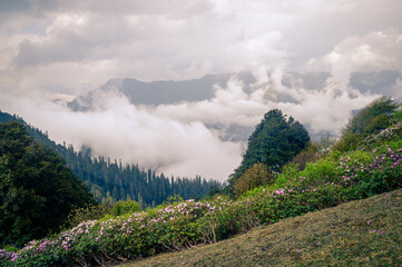 Mountain landscape with clouds. Himalayan Mountain landscapes are a favourite for hikers and nature enthusiasts alike, such as the Shoja Jalori Pass Raghupur Fort, Himachal Pradesh, India.
