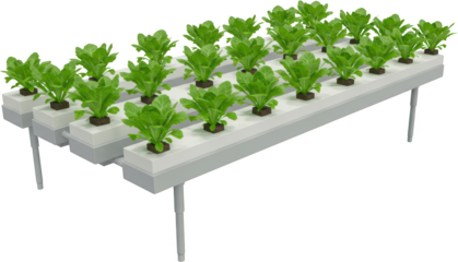Modern Hydroponic System Growing Lush Green Leafy Vegetables in a Controlled Environment